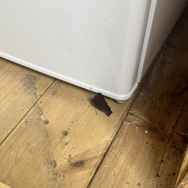 Nieuw plekje zoeken?