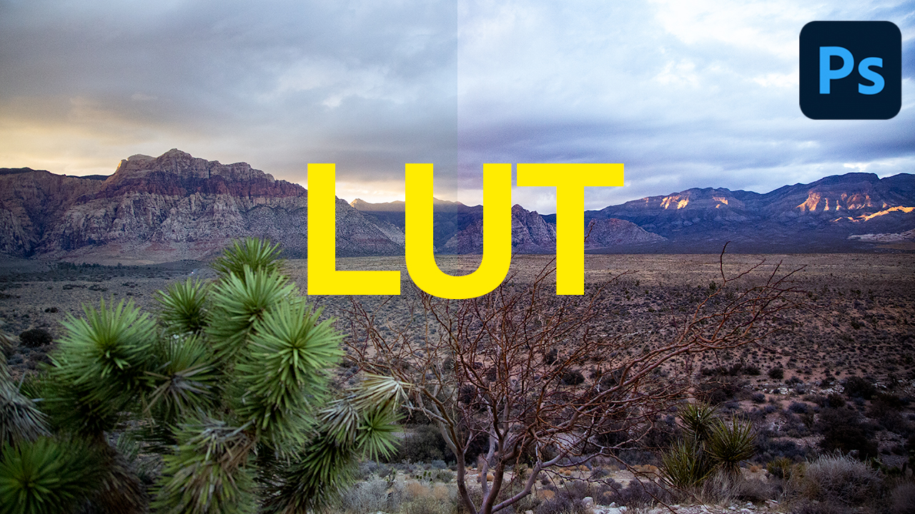 How to Use a LUT in Photoshop - 2 Minute Tip - It's Never Too Late To Learn
