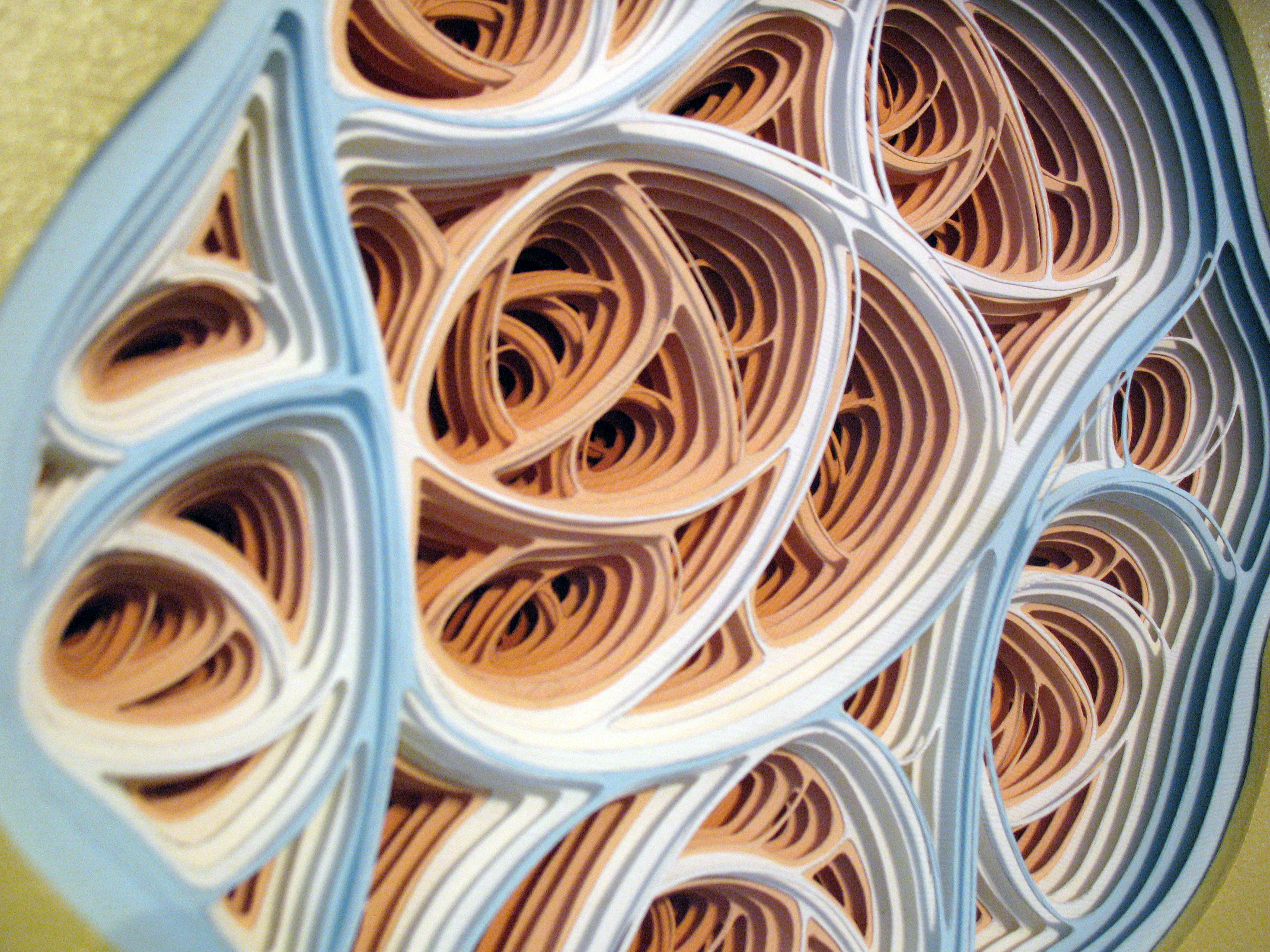 Diddle Daddlation Detail | Acrylic and hand-cut paper on panel