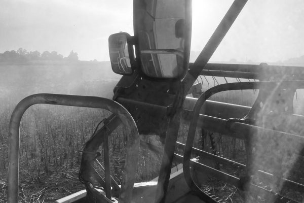Harvest 3