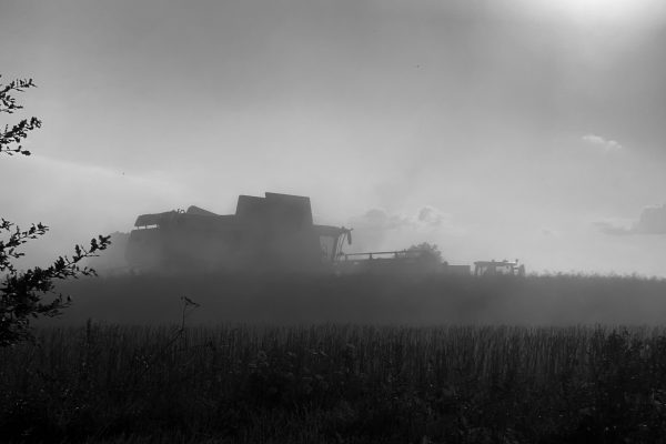 Harvest 6