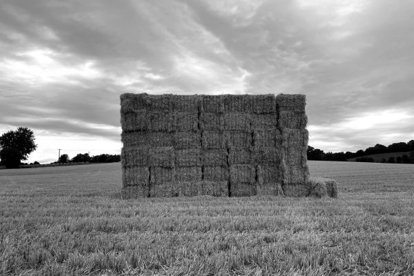 Harvest 5