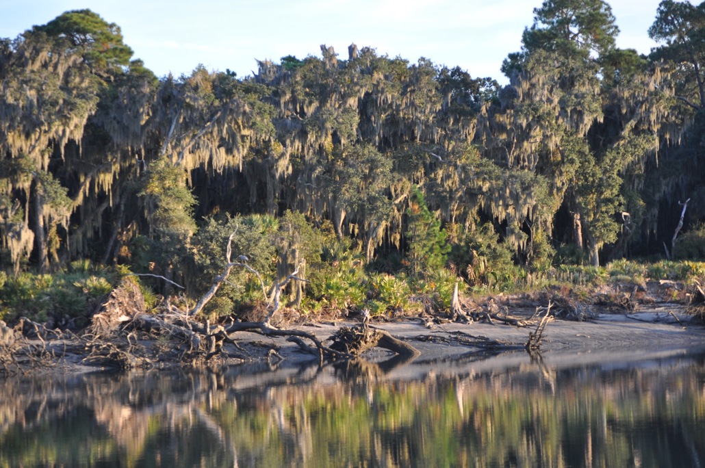 Blackbeard Island LOGBOOK THE SPIRIT OF ST SIMONS