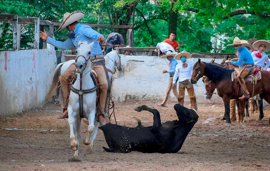Palenque vive la fiesta del Circuito Ruta del Café