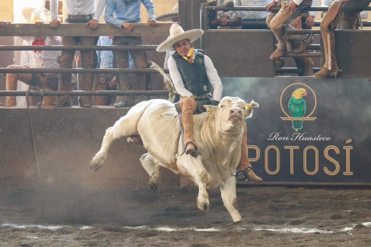 El Perrón QH se lleva la primera competencia en Toluca