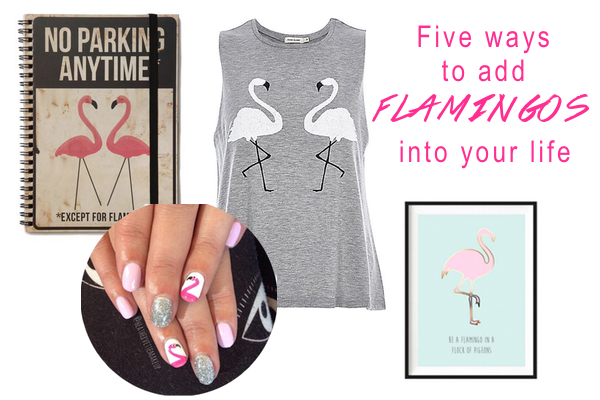 Five ways to add flamingos into your life
