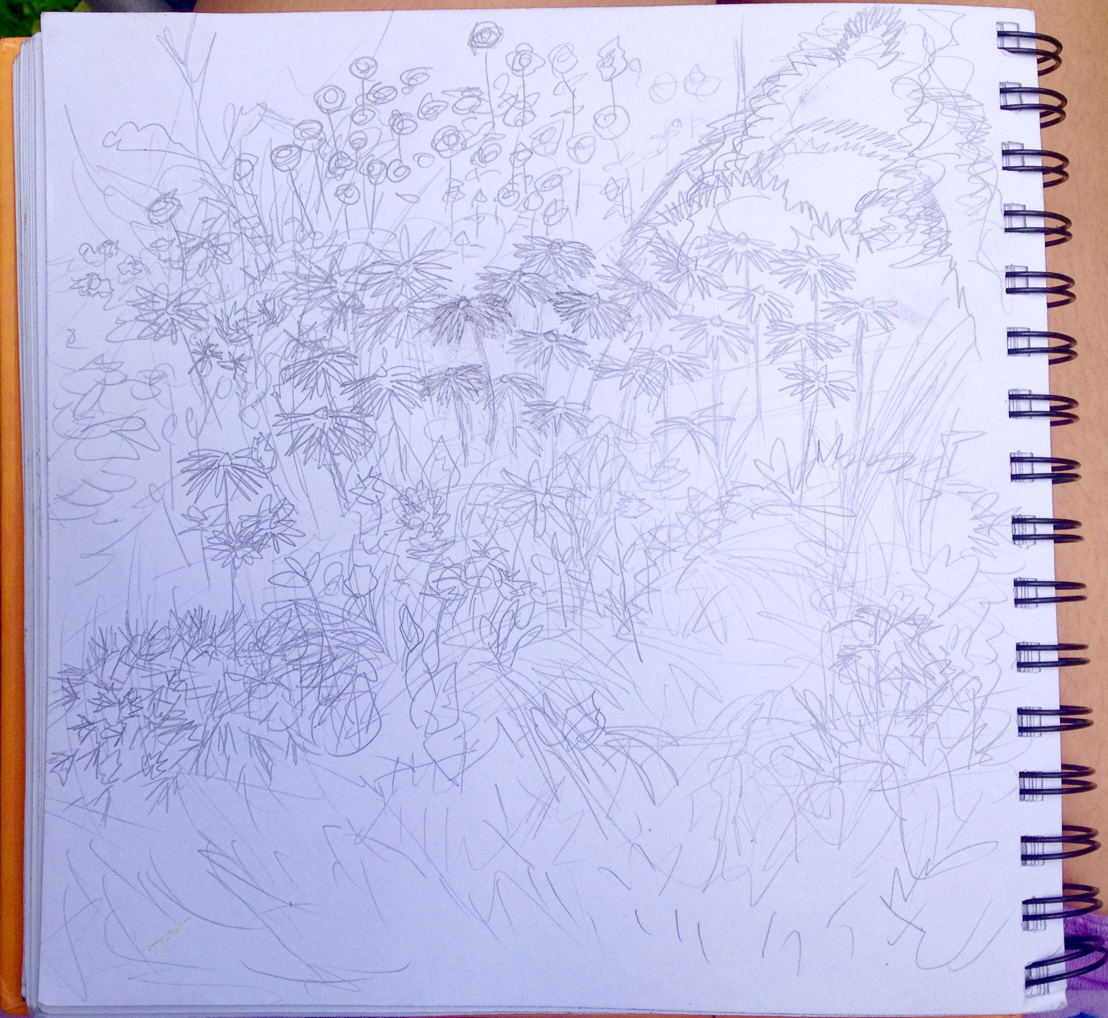 Julia's interpretation.