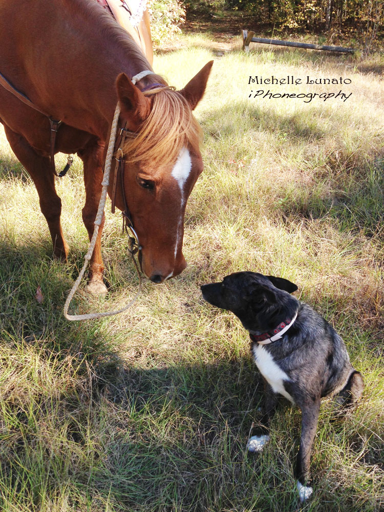 Getting to know each other.