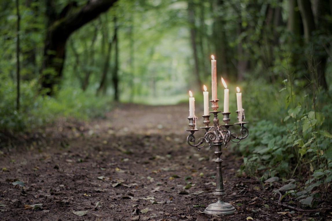 Candelabra in the Woods
