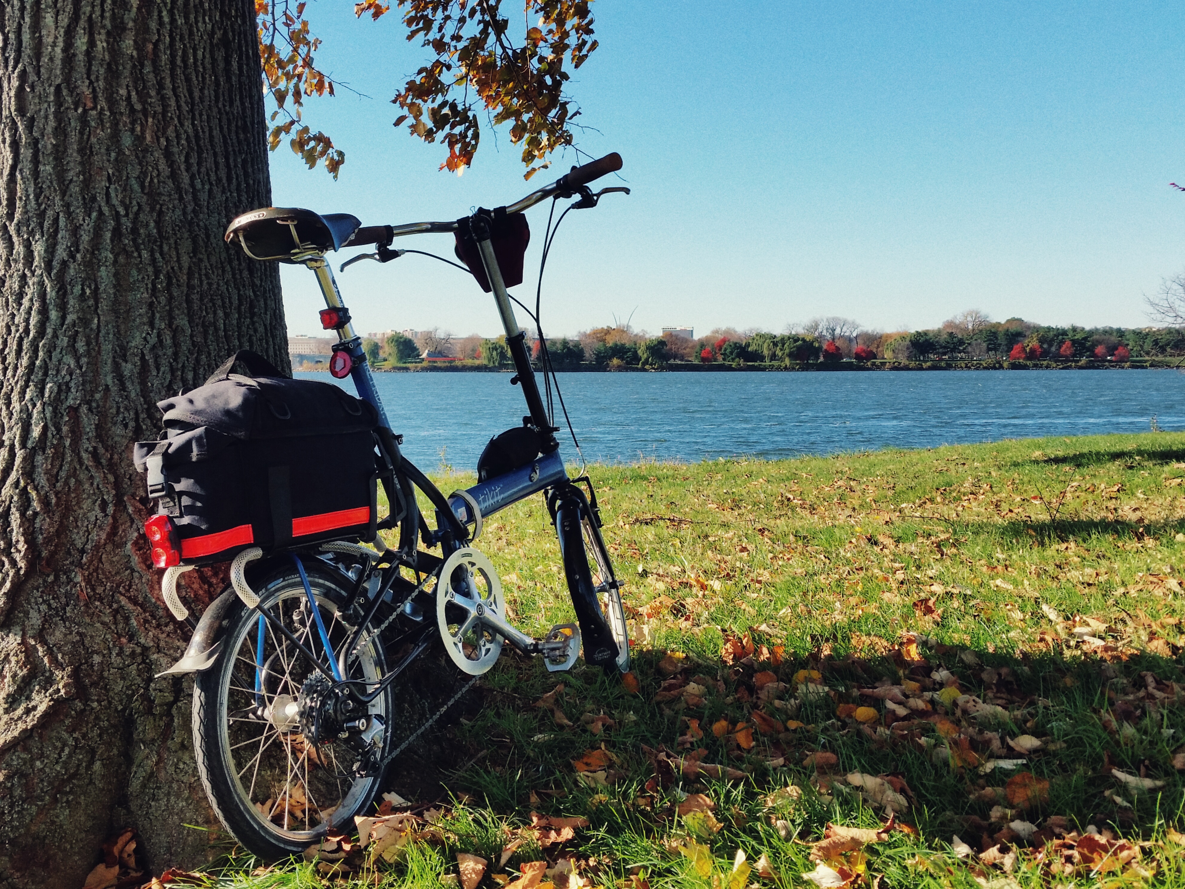 20151123_092445-01.jpeg?fit=