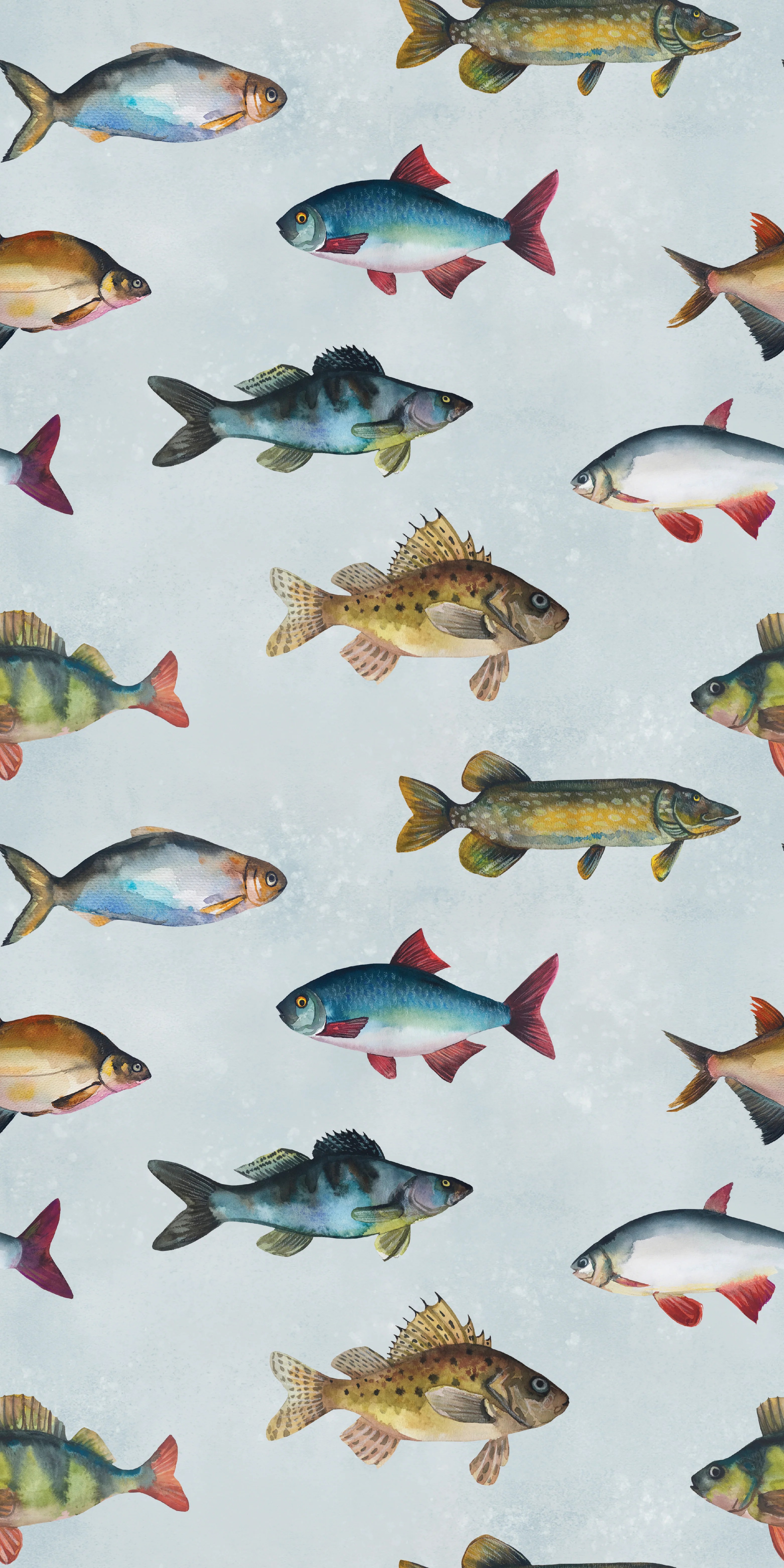 Freshwater Fish Chasing Paper