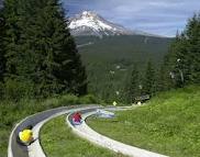 ALP