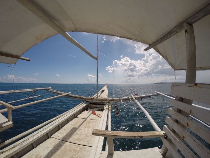 Swimming with Whale Sharks in Donsol