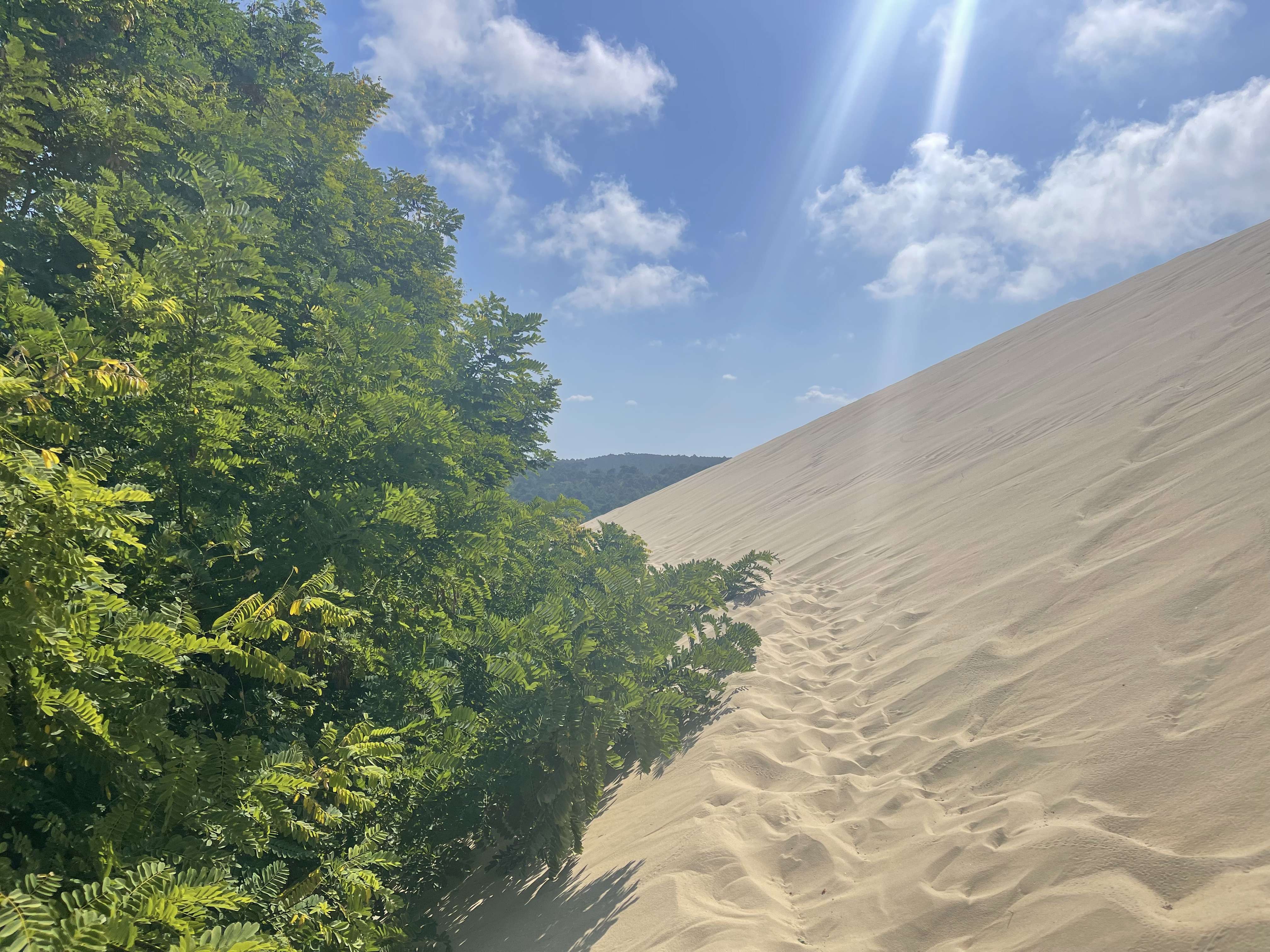 Walking the Dune du Pilat sand dune