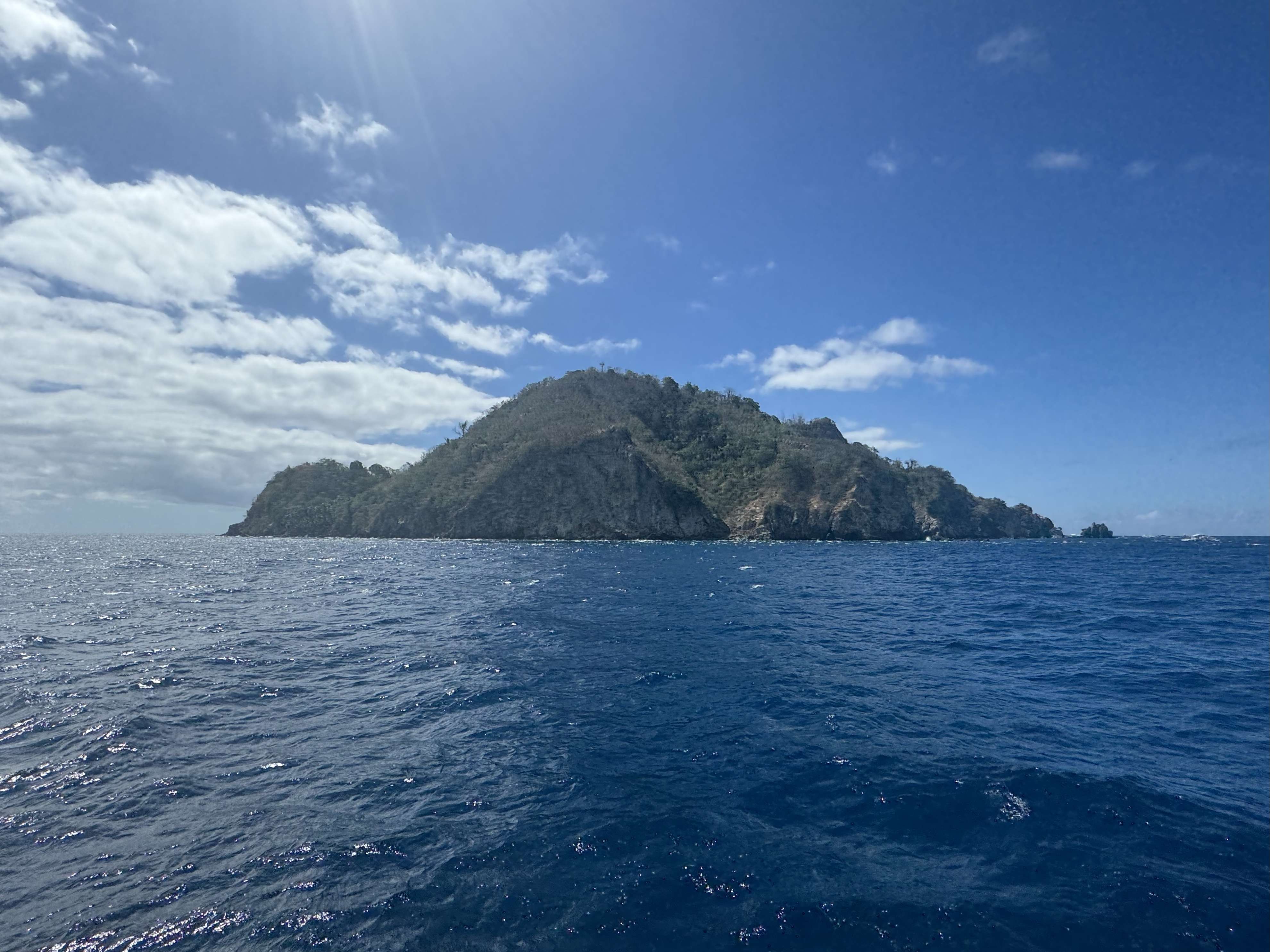 Day trip to Apo Island for diving and snorkelling