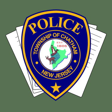 File a Non-Emergency Police Report