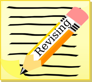 year seven revision