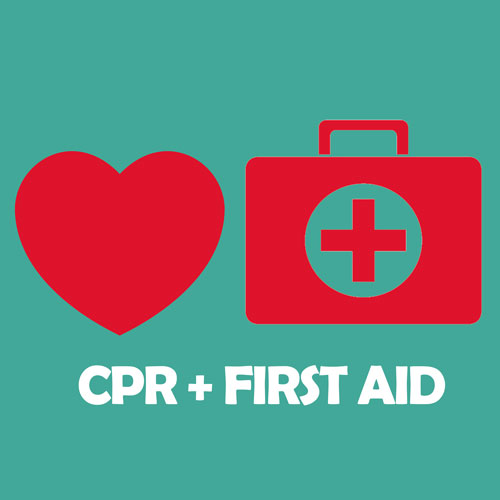 Our online cpr course materials and training are created and maintained by. Cheap Cpr First Aid Certification 19 95