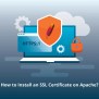 How To Install An SSL Certificate On Apache Server?