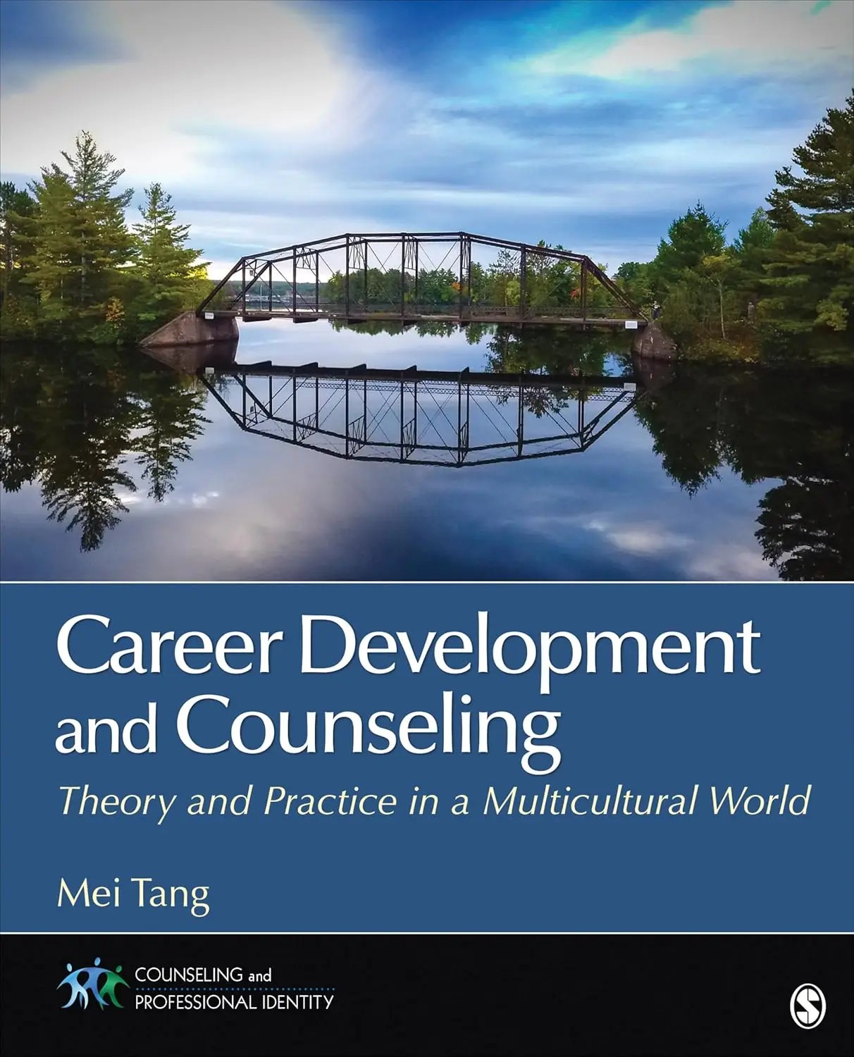 Career Development and Counseling: Theory and Practice in a Multicultural World (Counseling and Professional Identity) 1st Edition
