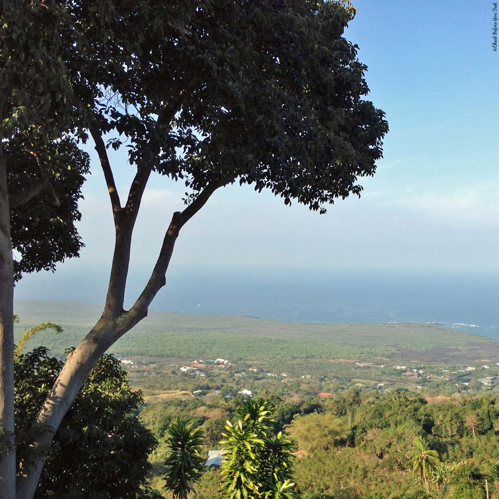 View dining at The Coffee Shack - Hōnaunau, HI