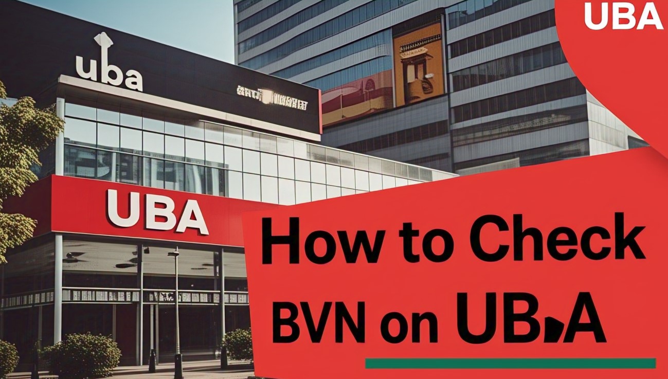 How to Check BVN on UBA (UBA Bank)