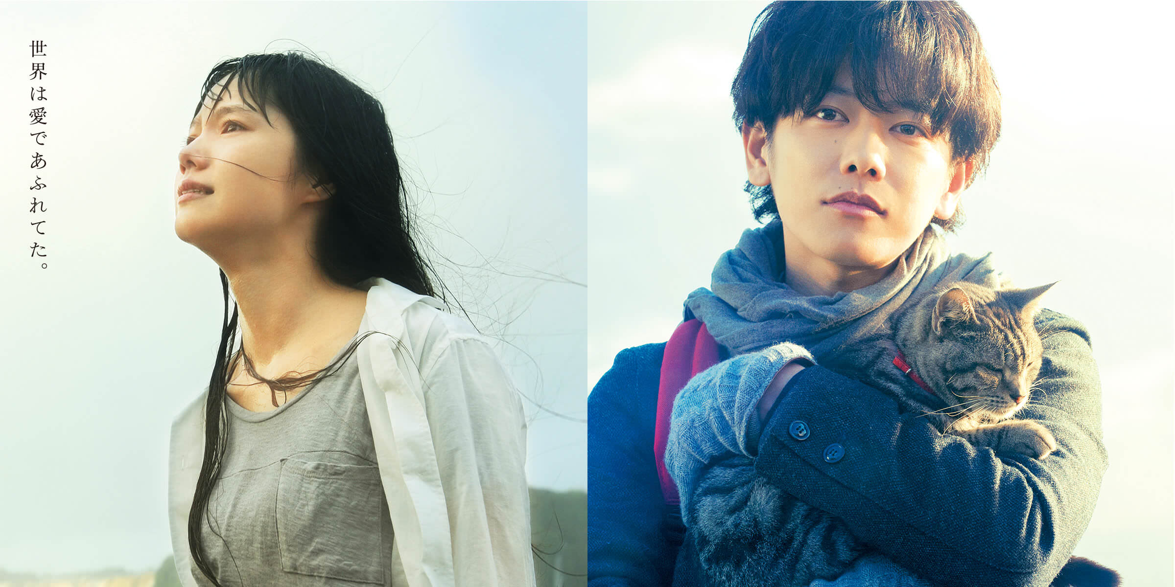 專題┃影評┃如果這世界貓消失了，清新日本電影藏世界經典玄機