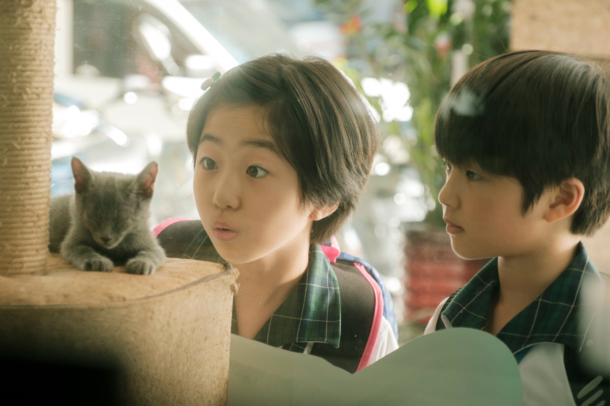 住戶公約第一條：世界給女性的荒謬葬禮 | 鏡文學驚悚劇場 | 影評