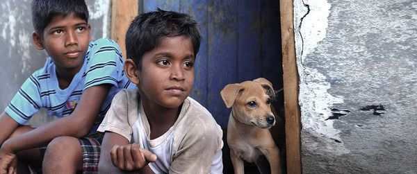 【影評】《披薩的滋味》Crow’s Egg 台灣有蘋果、印度有披薩