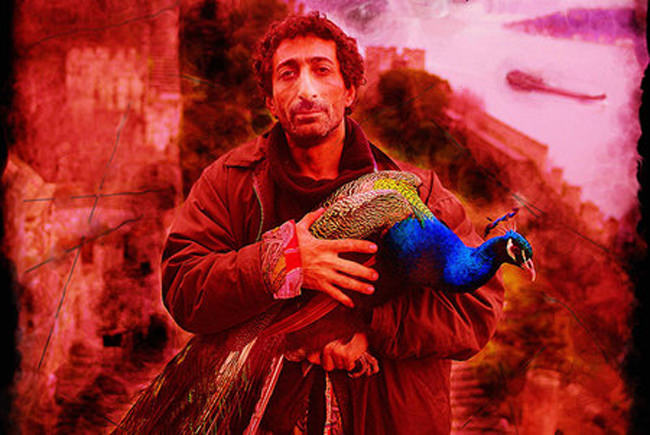 台北電影節【棺材裡翻筋斗】