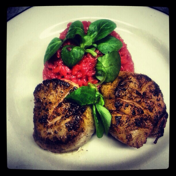 Seared scallops with beet risotto