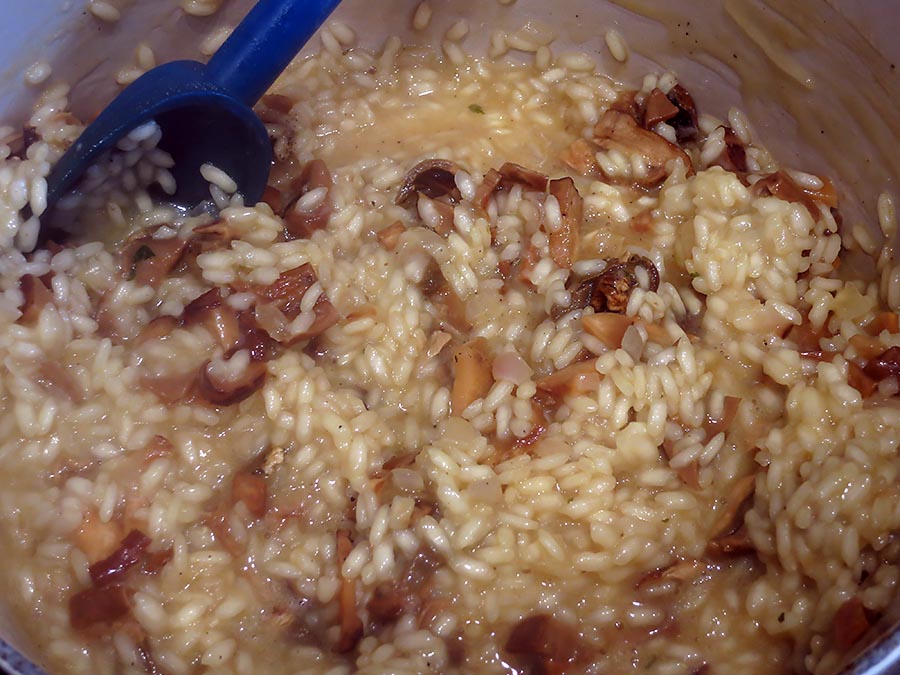 Dried Mushroom Risotto | the chef mimi blog