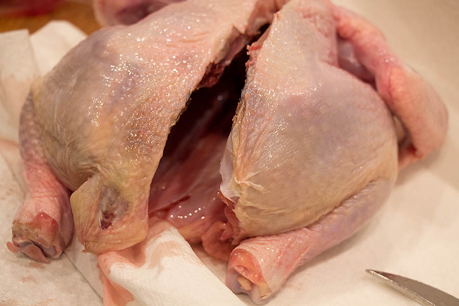 chick9