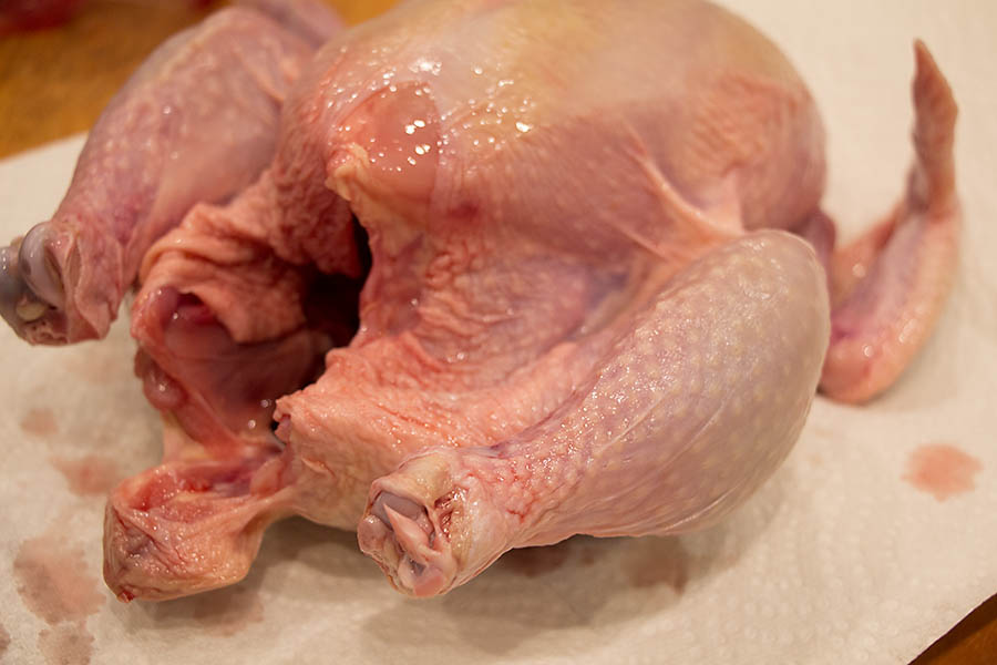 chick999