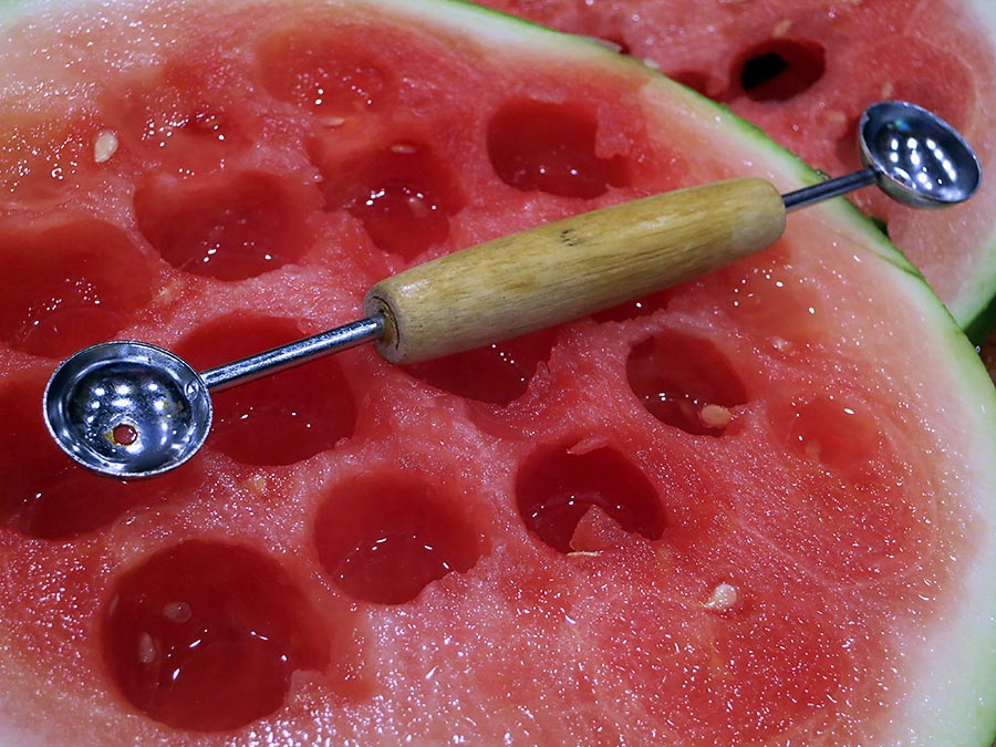 melon1
