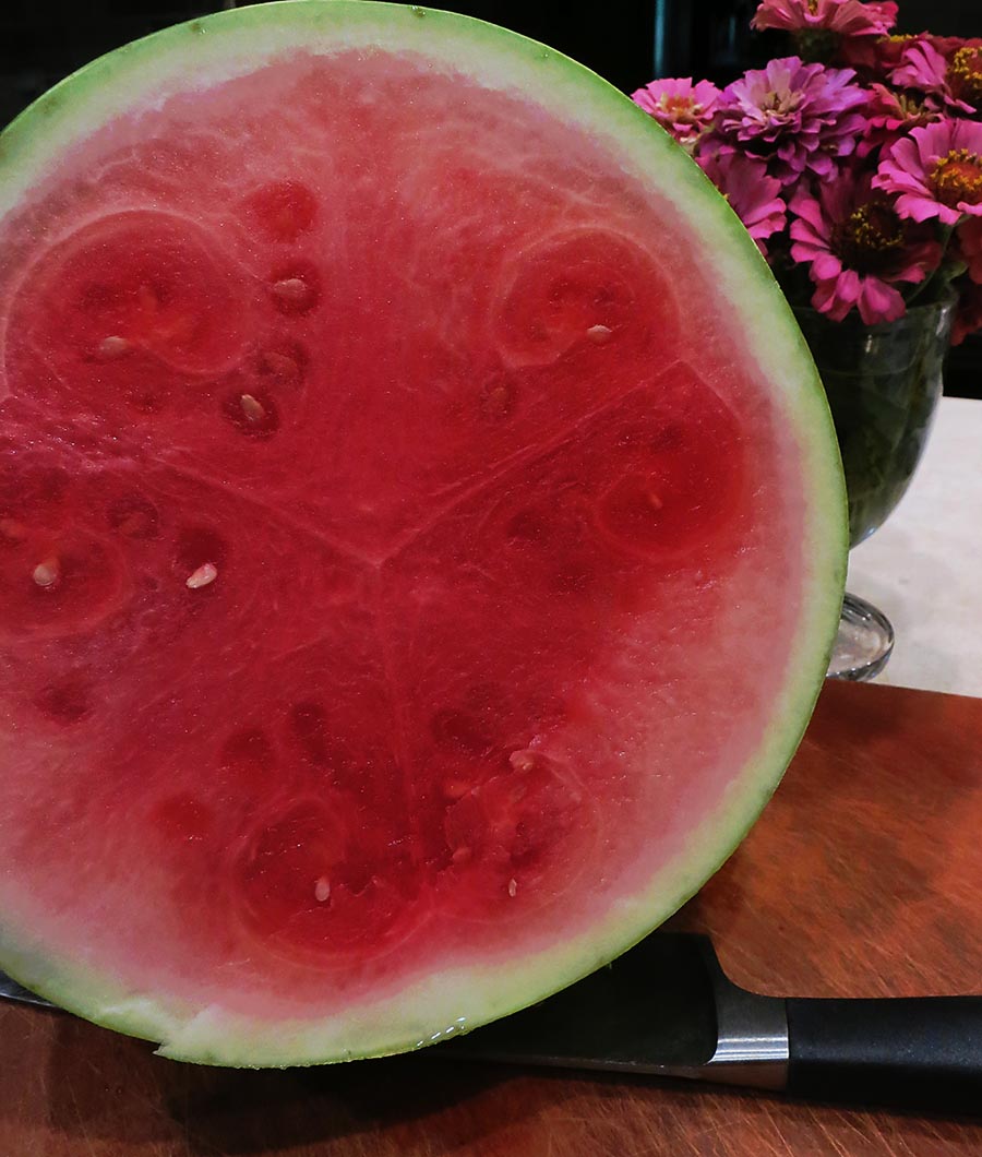 melon2