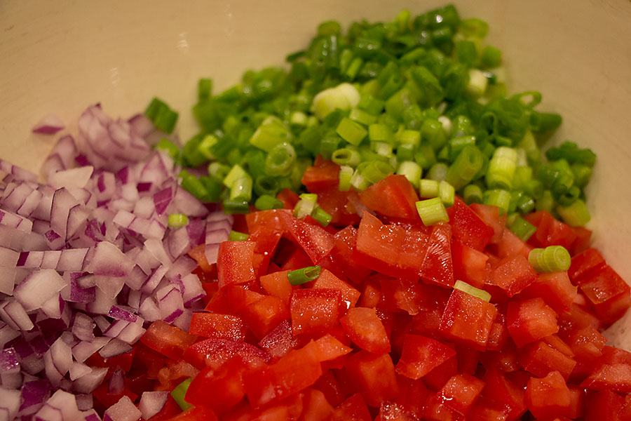 salsa66