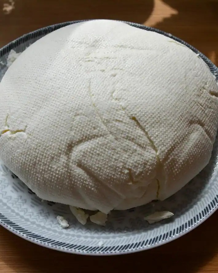 Homemade Polish ser bialy, a firm white round of fresh curd cheese on a blue rimmed plate, the weave of the draining cloth printed across the top.