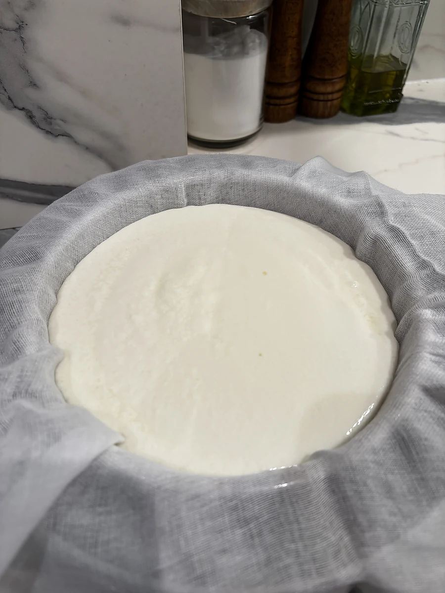 The set curds tipped into a colander lined with white cheesecloth, the surface still smooth before the whey runs off.
