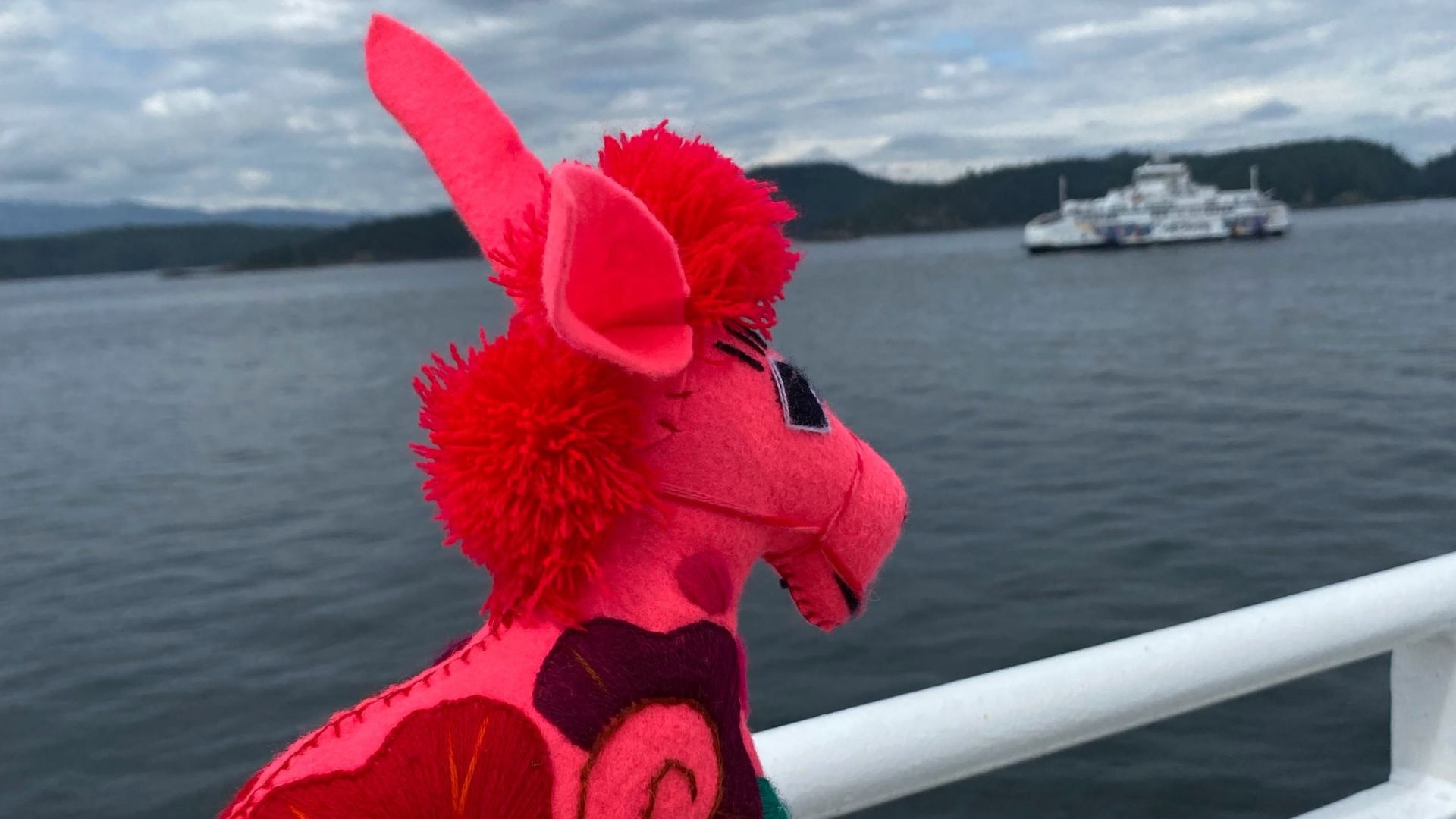 Lost Pink Donkey's BC Ferries Adventure: Will You Claim Your Plush Pal? (2026)