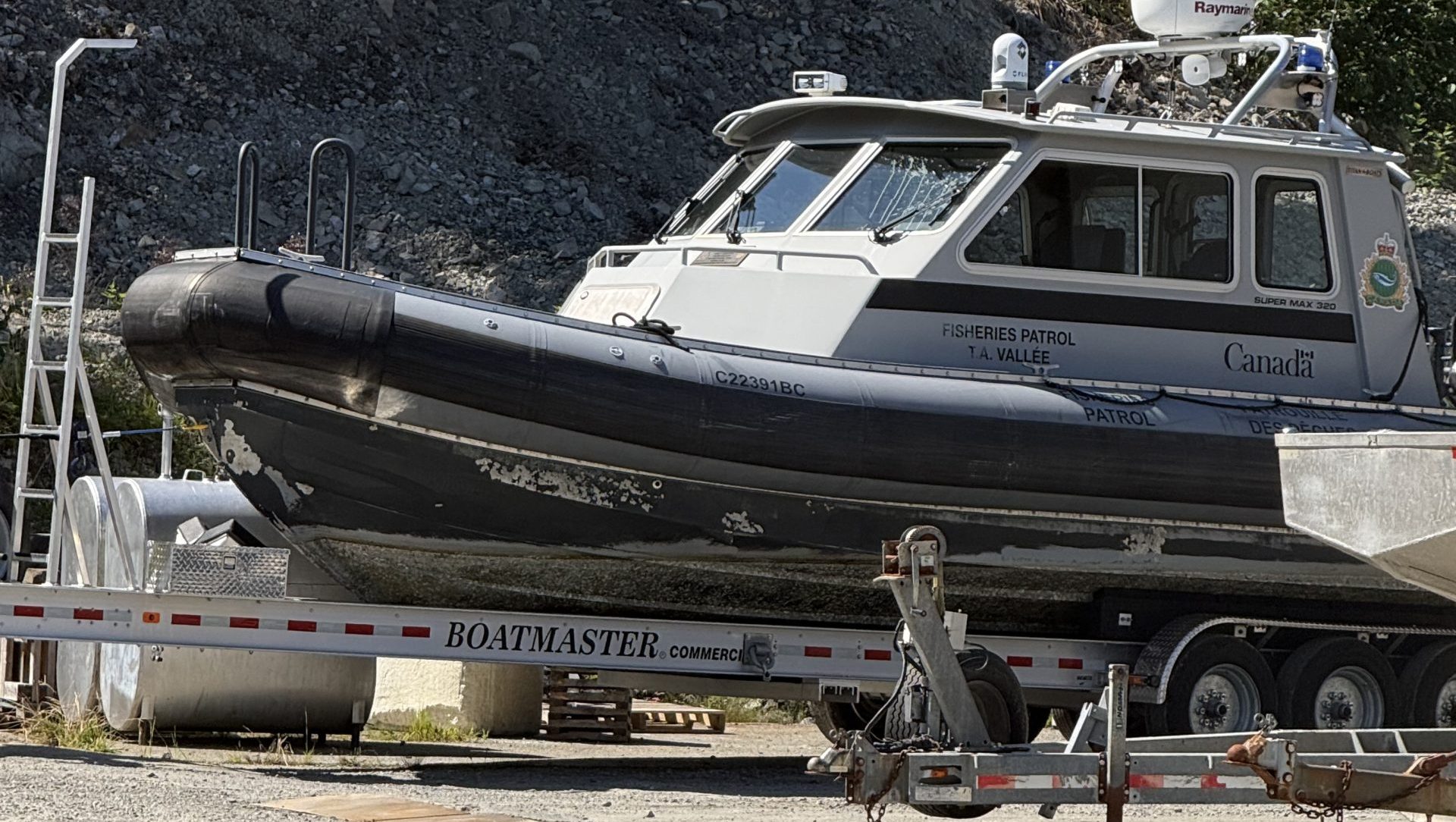 DFO Officers Injured in Collision with Humpback Whale: What Happened? (2026)