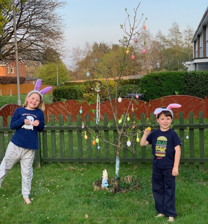 Apple Tree