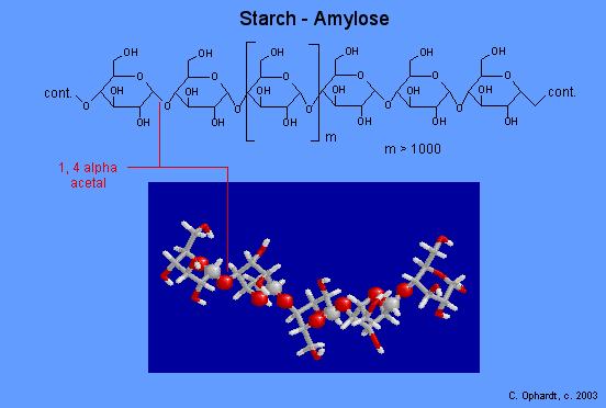 Starch - Chemistry LibreTexts