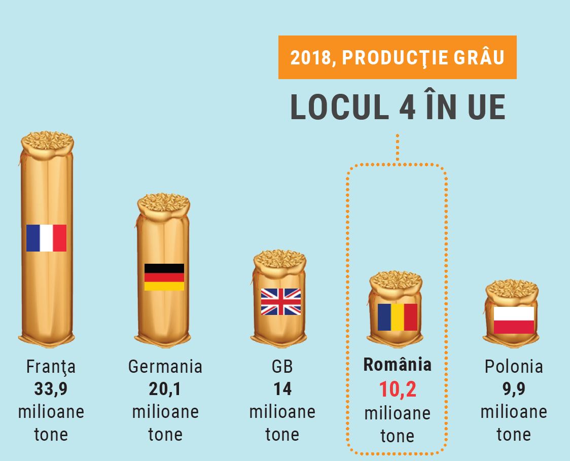 Potrivit datelor madr, producţia medie la hectar înregistrată până la data . Recolta De Cereale Paioase In Cifre Chemark Rom