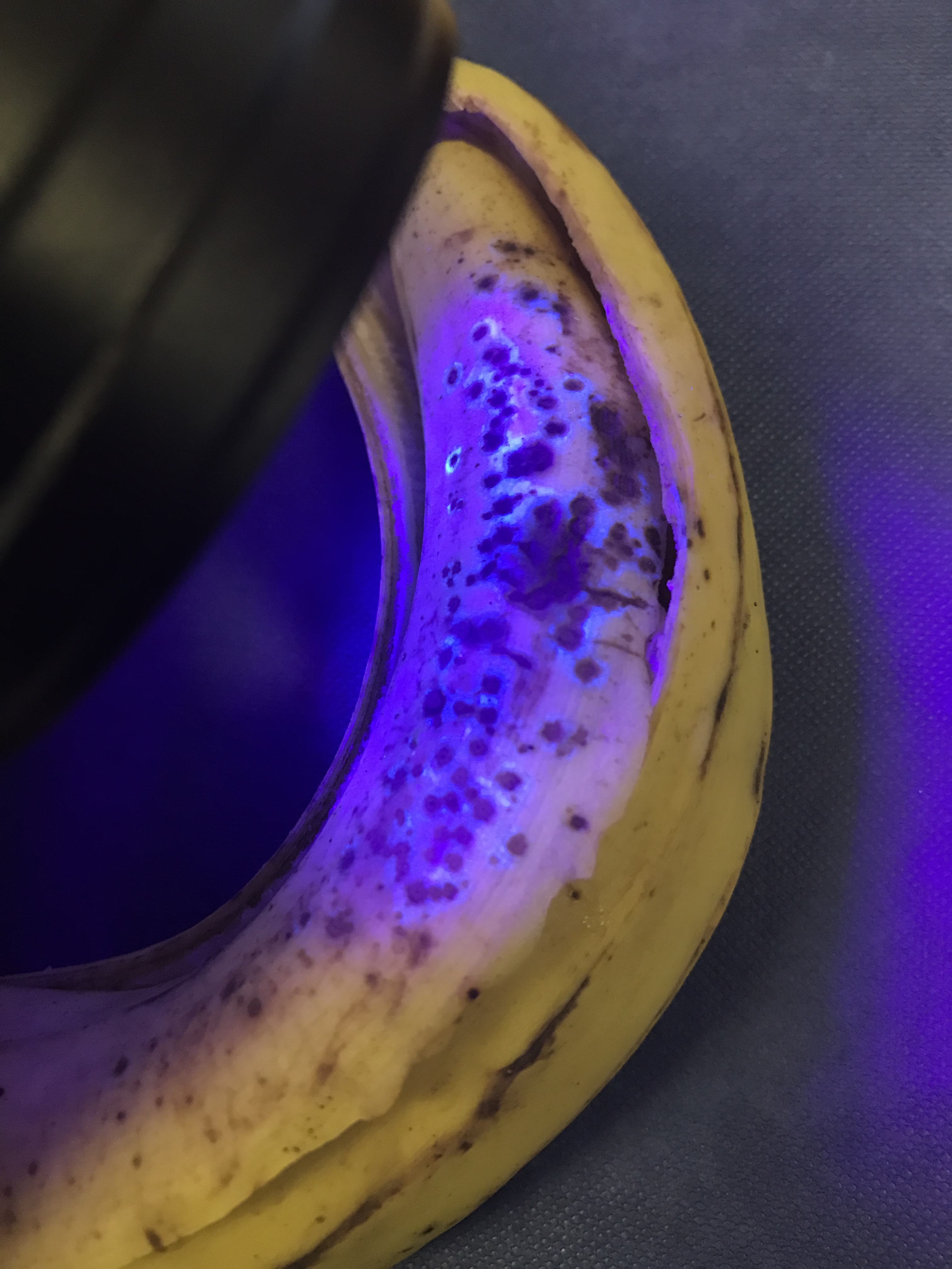 fluorescent banana