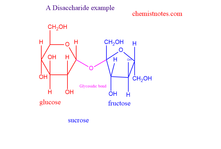 Disaccharides definition structure types examples vid