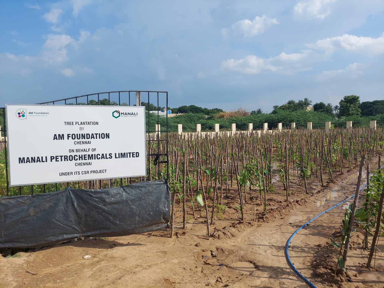 AM Foundation partners with Greater Chennai Corporation for its first Miyawaki technique tree plantation project to increase the city’s forest cover
