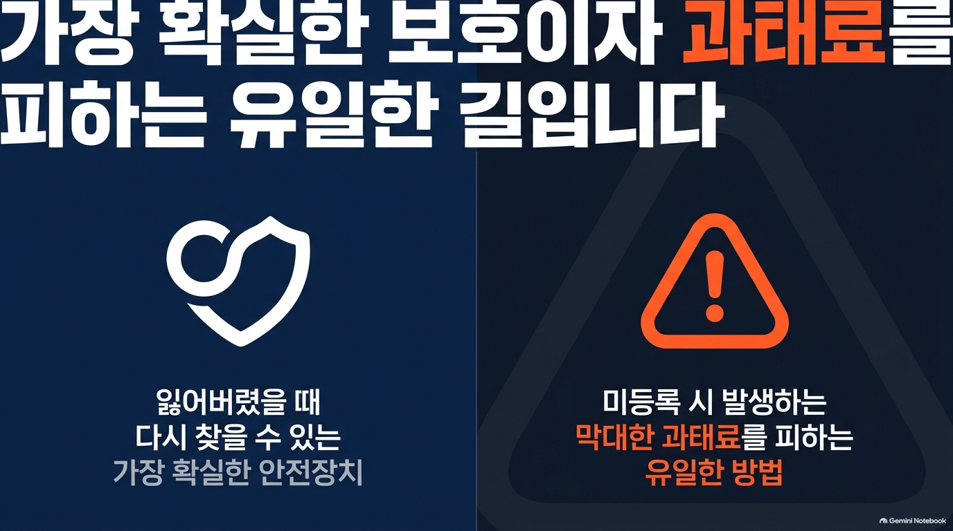 반려동물등록 준비물, 뭐가 필요한가요?
