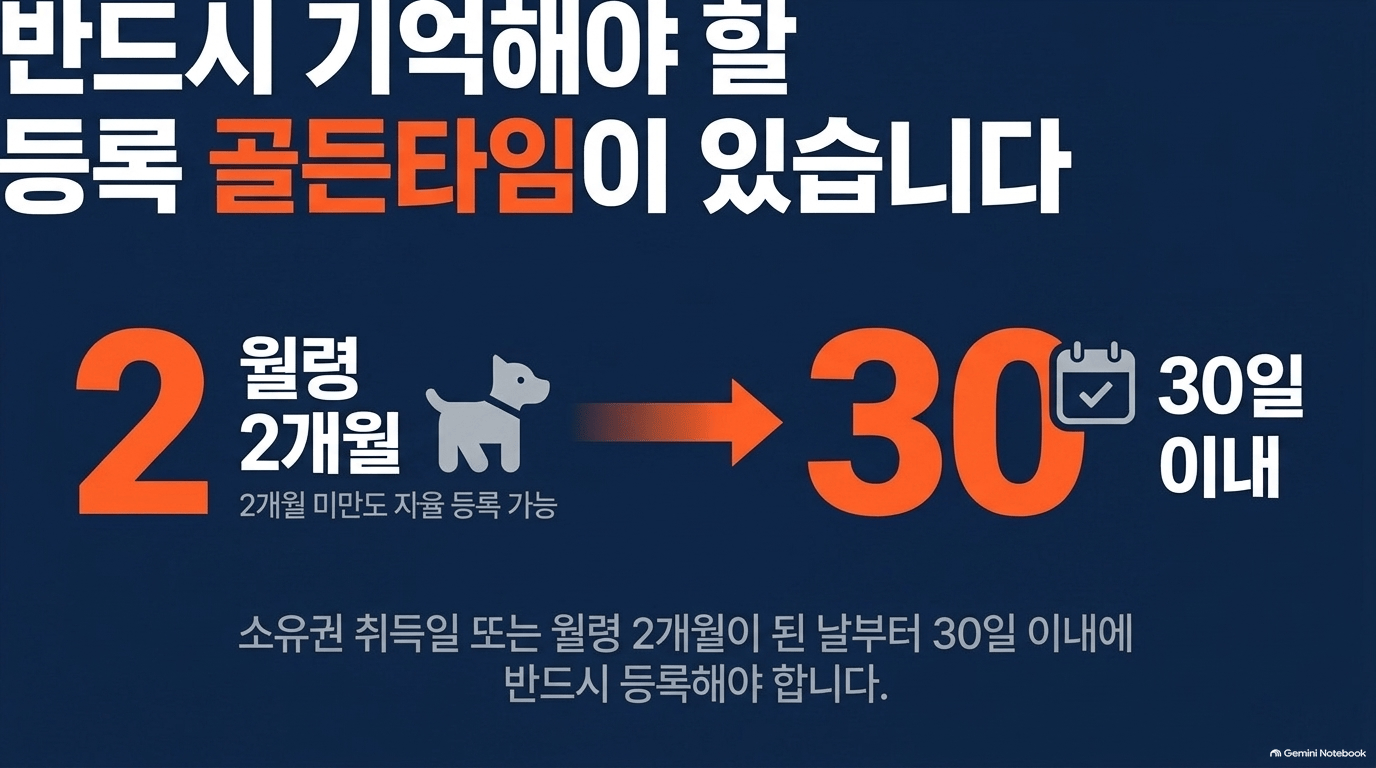 반려동물등록 준비물, 뭐가 필요한가요?